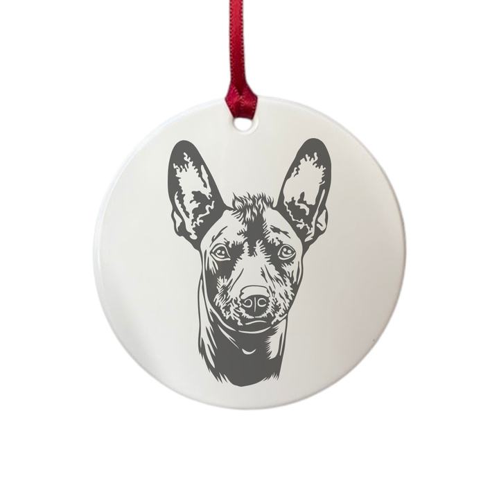 Personalised Xoloitzcuintle Engraved White Acrylic Decoration
