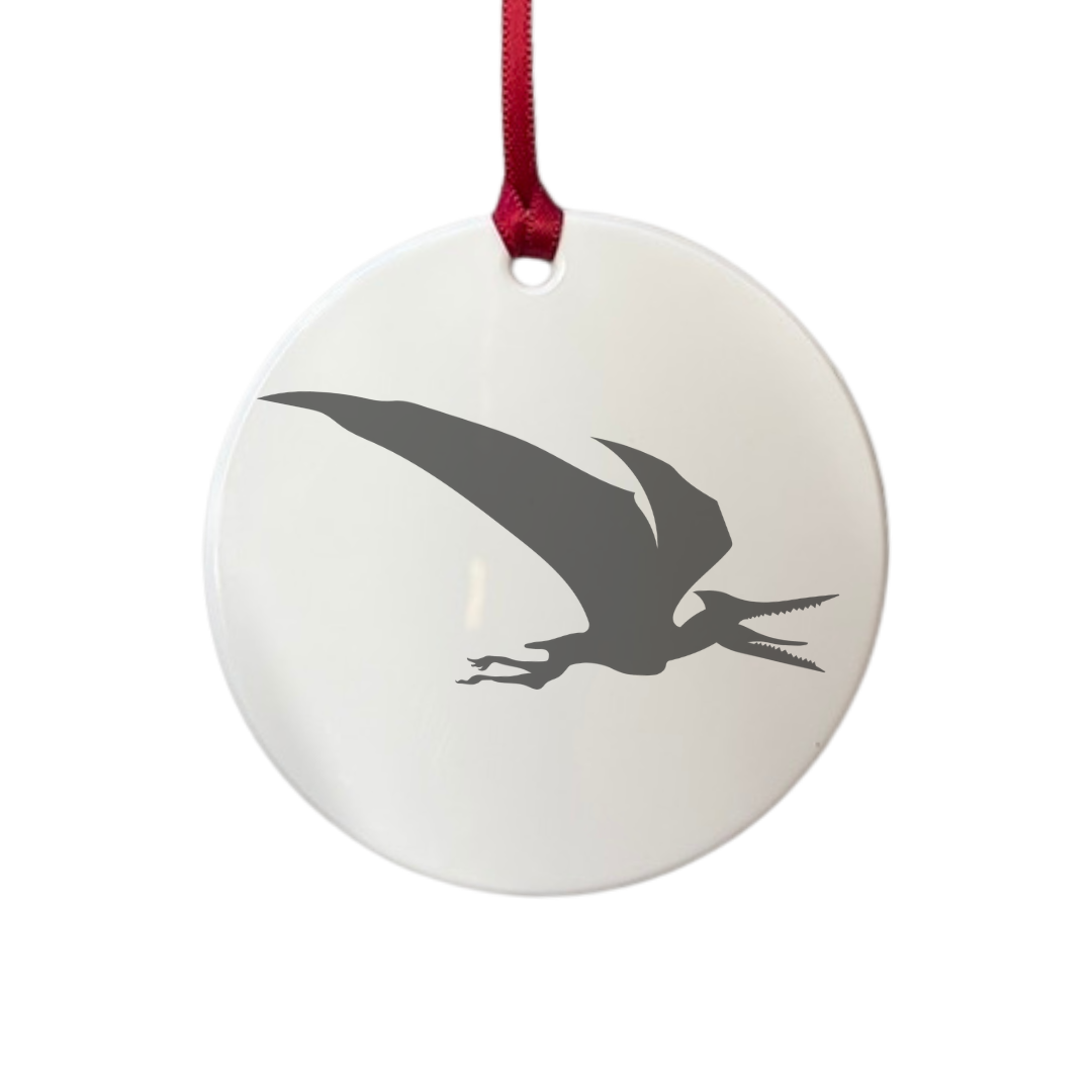 Personalised Pterodactyl Dinosaur Engraved White Acrylic Decoration