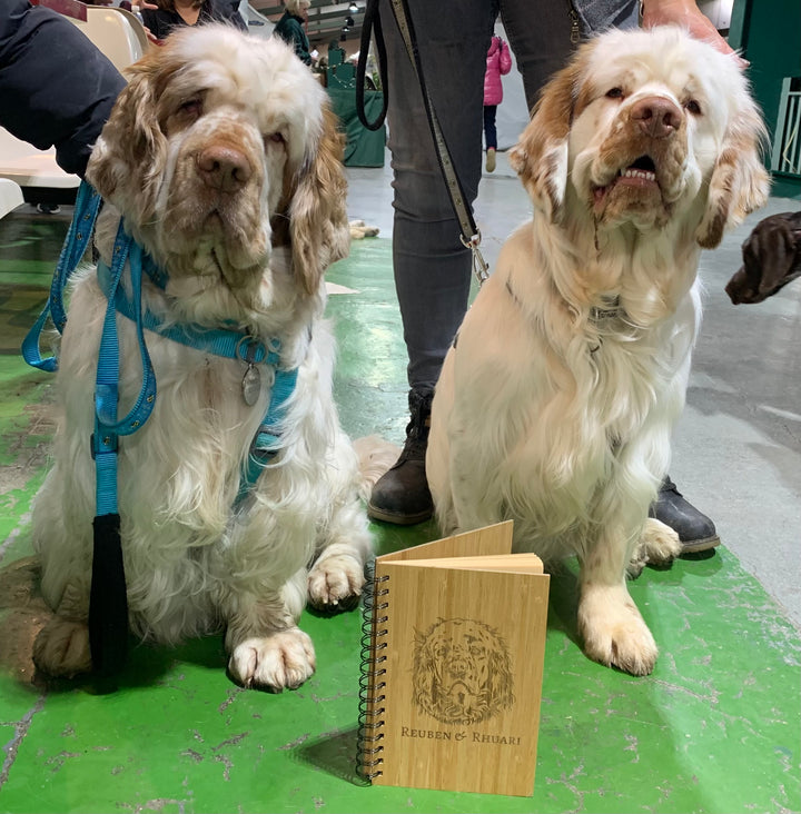 Clumber Spaniel Illustration Engraved Notebook