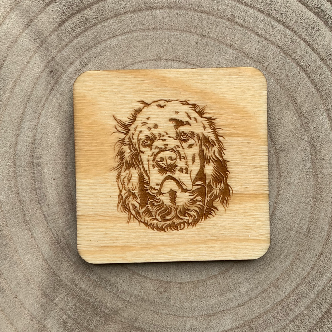 Clumber Spaniel Illustration Engraved Wooden Coaster