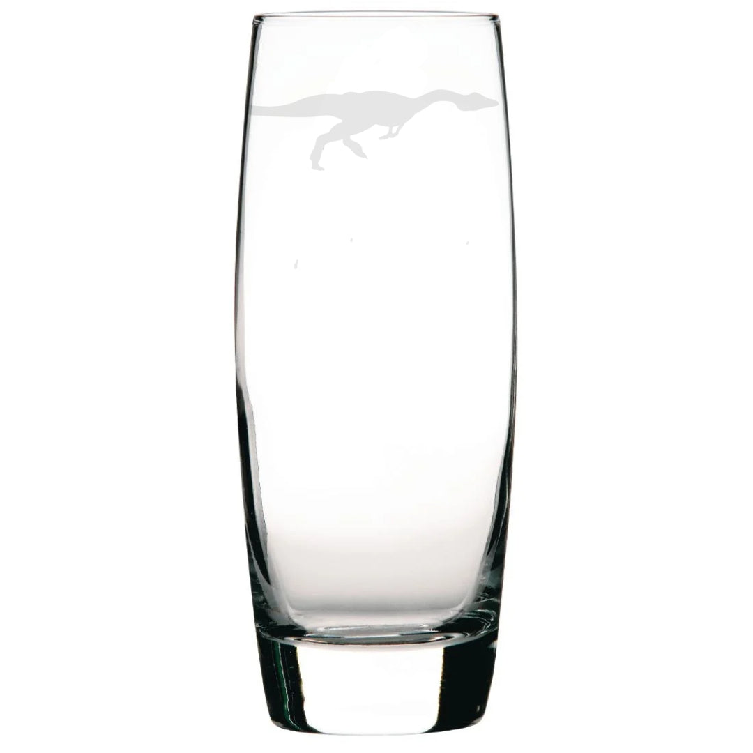 Personalised Compsognathus Dinosaur Hi-Ball Glass