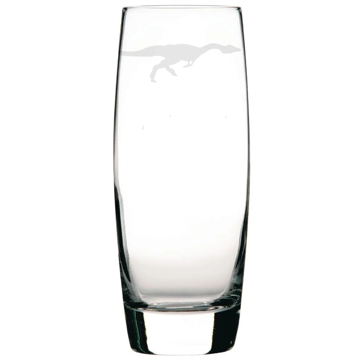 Personalised Compsognathus Dinosaur Hi-Ball Glass