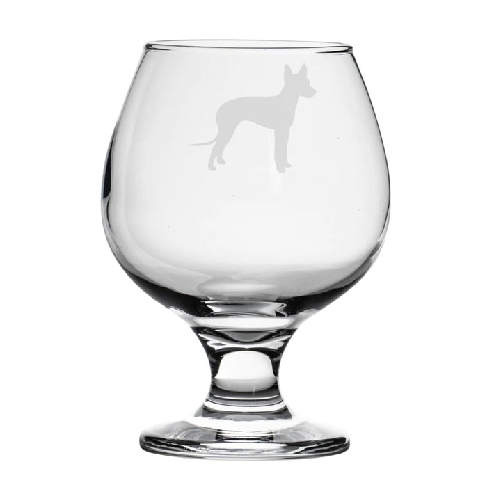 Personalised Mexican Hairless Dog Brandy Snifter Glass