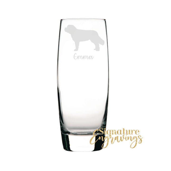 Personalised St Bernard Hi-Ball Glass